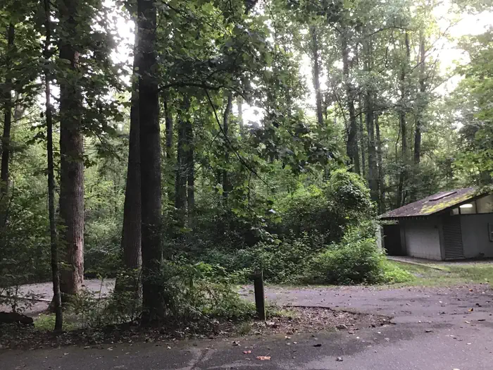 Davidson River Campground