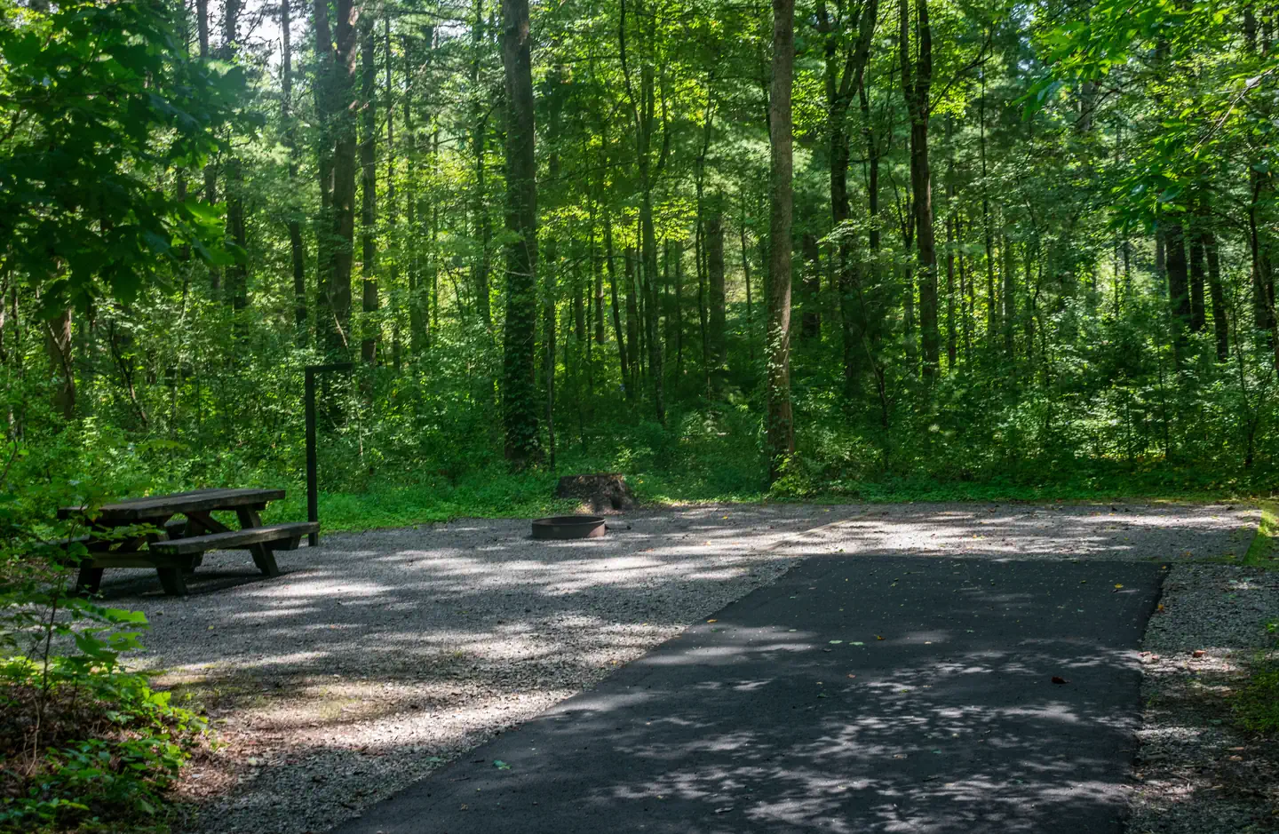 Davidson River Campground
