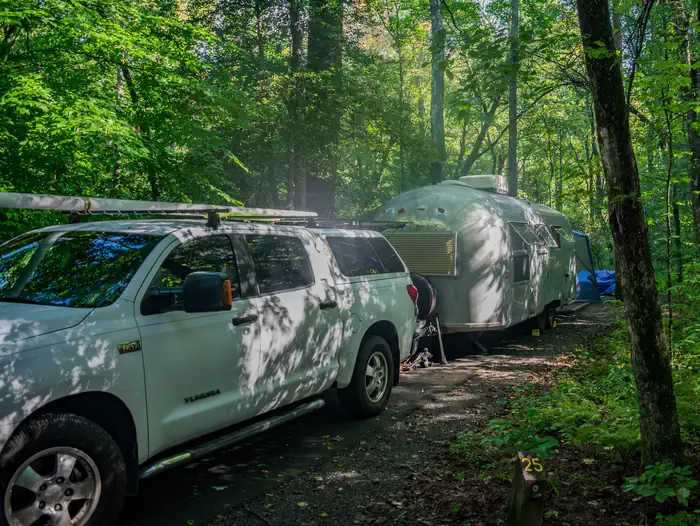 Davidson River Campground