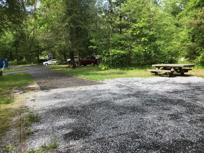Davidson River Campground