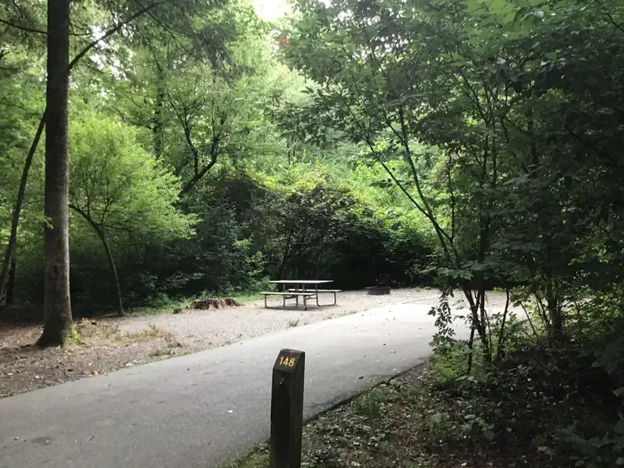 Davidson River Campground