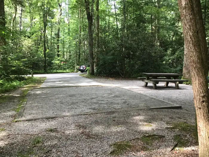 Davidson River Campground