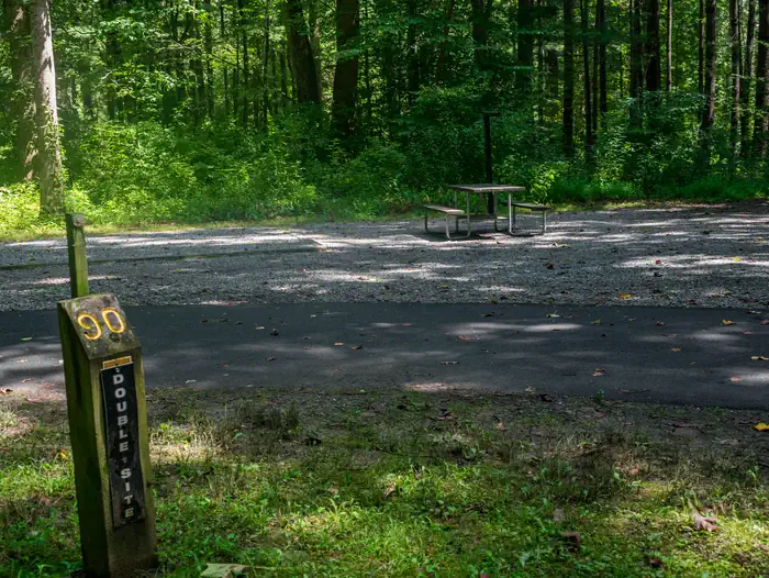 Davidson River Campground