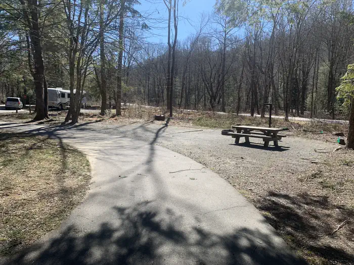 Davidson River Campground