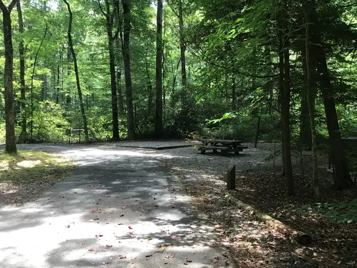Davidson River Campground