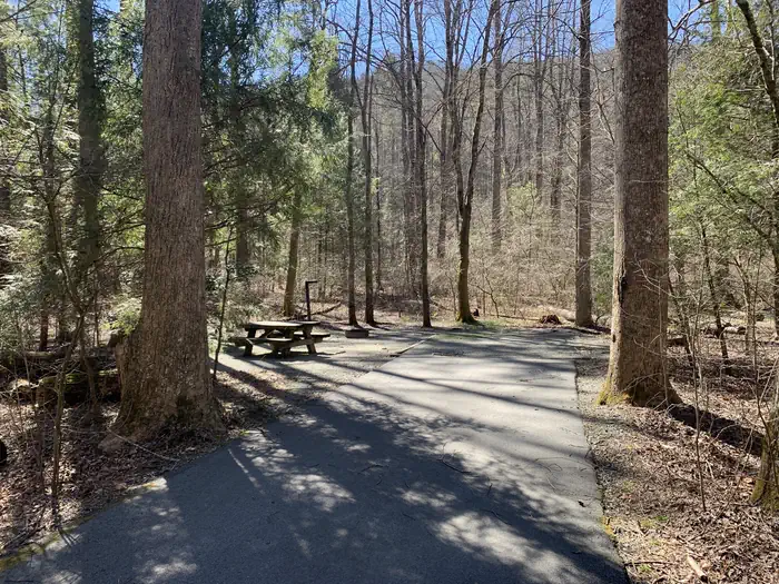 Davidson River Campground