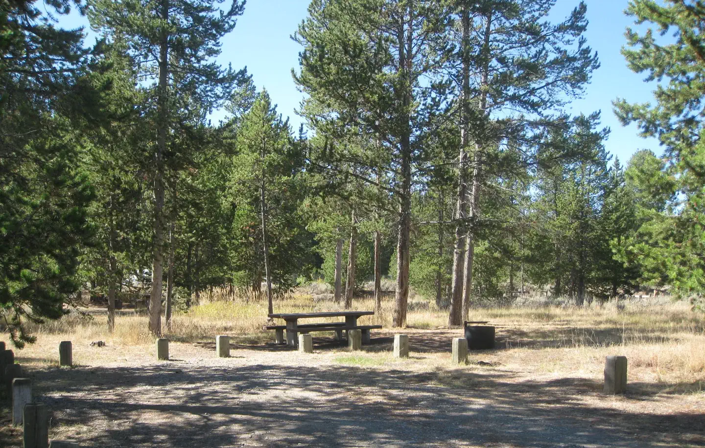 Lonesomehurst Campground