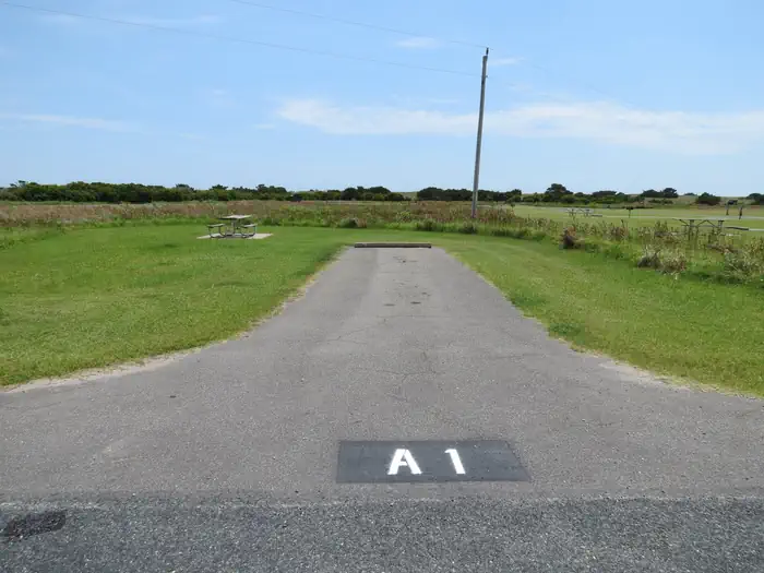 A001