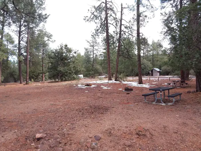 Timber Camp Recreation Area and Group Campgrounds