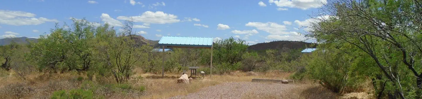 Cholla Campground