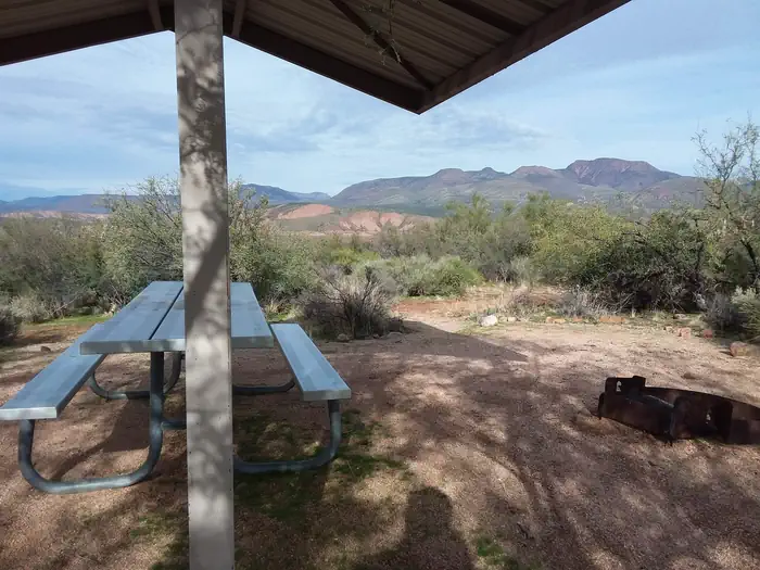 Cholla Campground