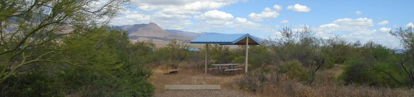 Cholla Campground