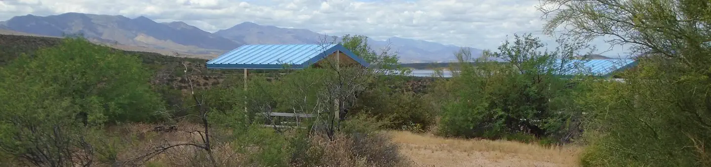 Cholla Campground