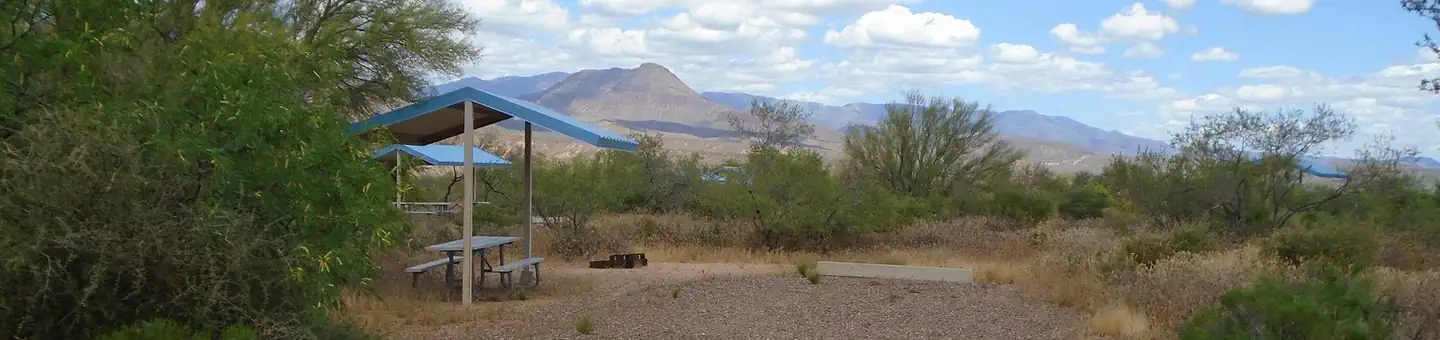 Cholla Campground