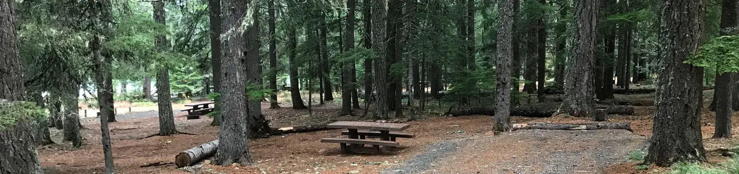Oak Fork