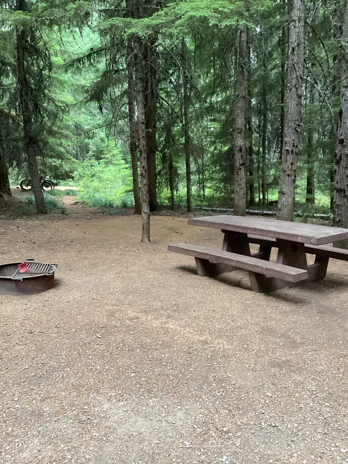 Oak Fork