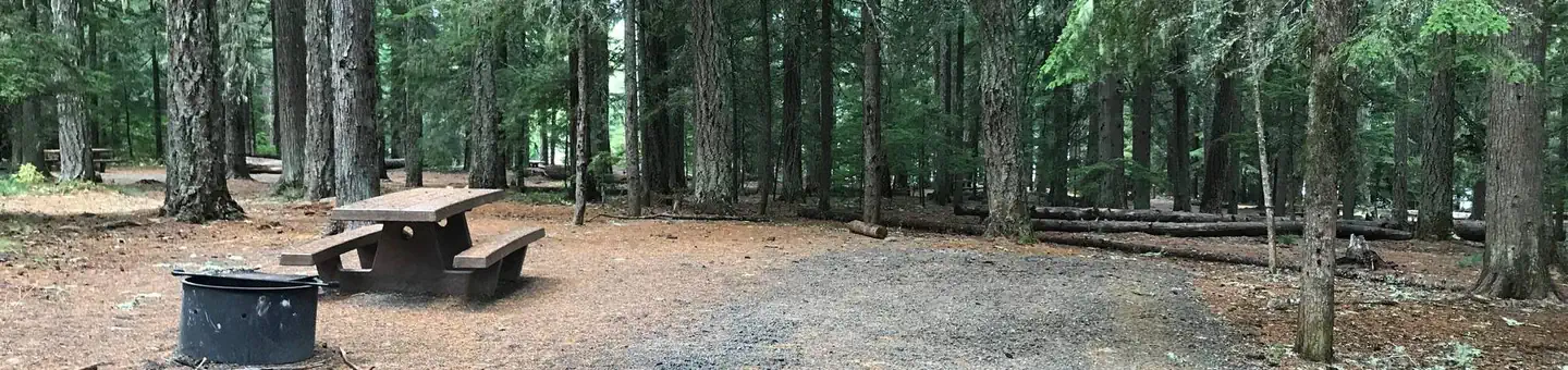 Oak Fork