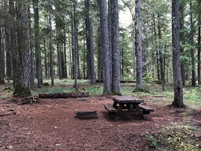 Oak Fork