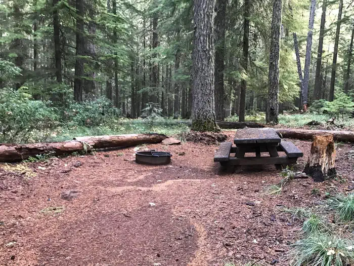 Oak Fork