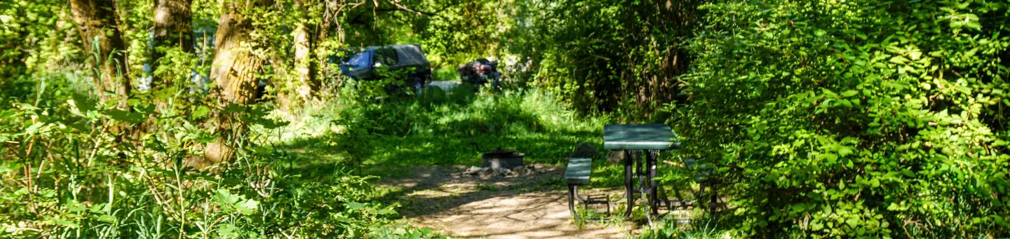 Bridger Campground