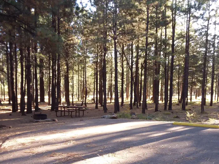 Sinkhole Campground