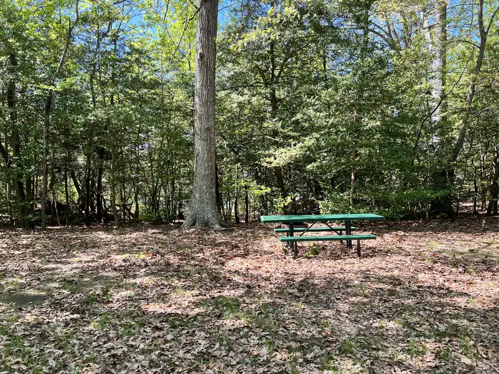 Pax River Paradise Grove Campgrounds