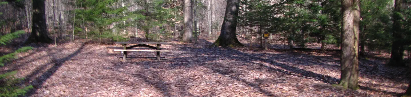 Hearts Content Recreation Area