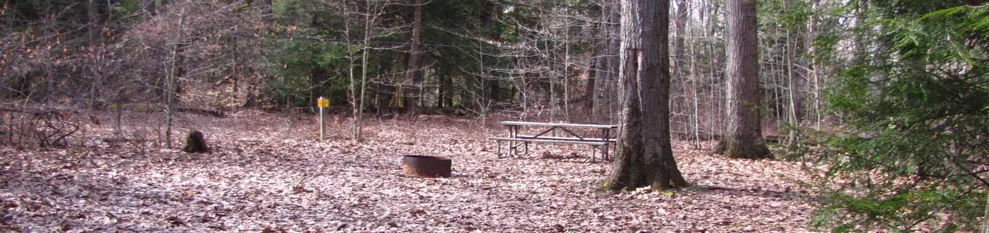 Hearts Content Recreation Area