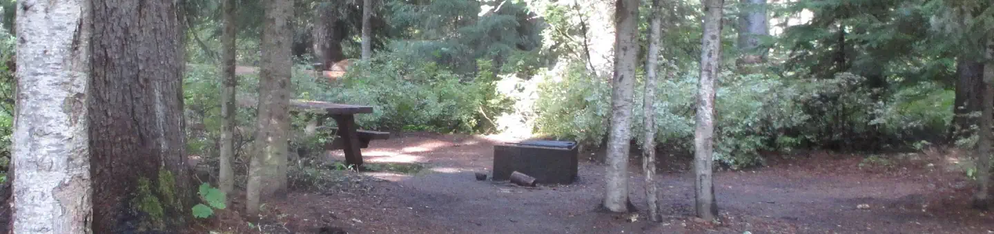 Trapper Creek Campground