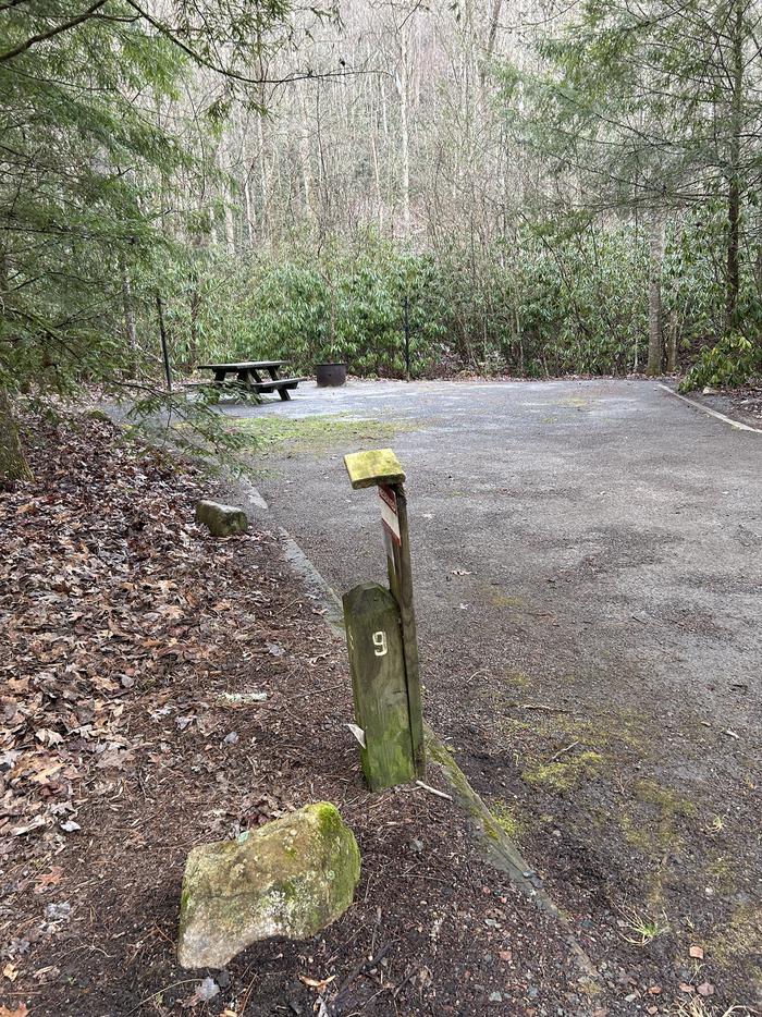 Backbone Rock Recreation Area Pavilions and Campground