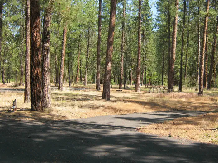 Evans Campground