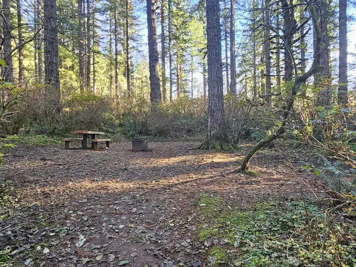 Hebo Lake Campground