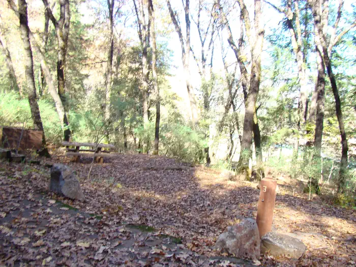 Ellery Creek