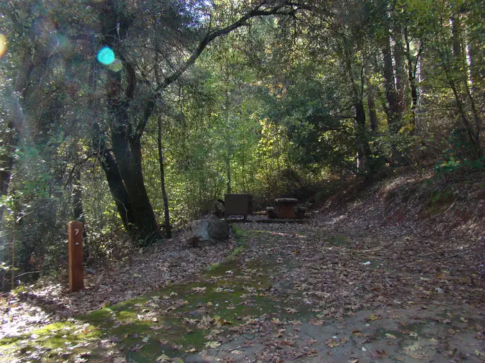 Ellery Creek