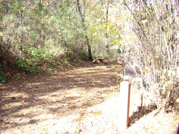 Ellery Creek