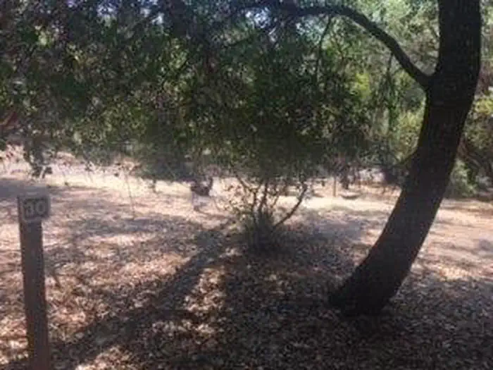 Bushay Recreation Area