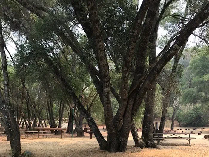 Bushay Recreation Area