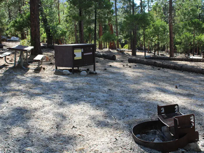 Moraine Campground