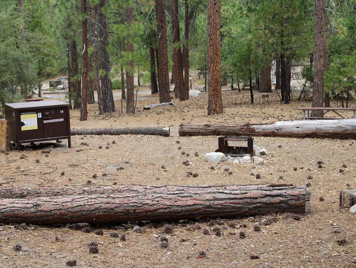 Moraine Campground