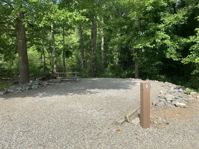 Buffalo Park