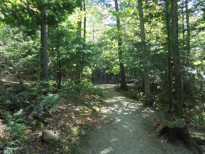 Russell Pond Campground