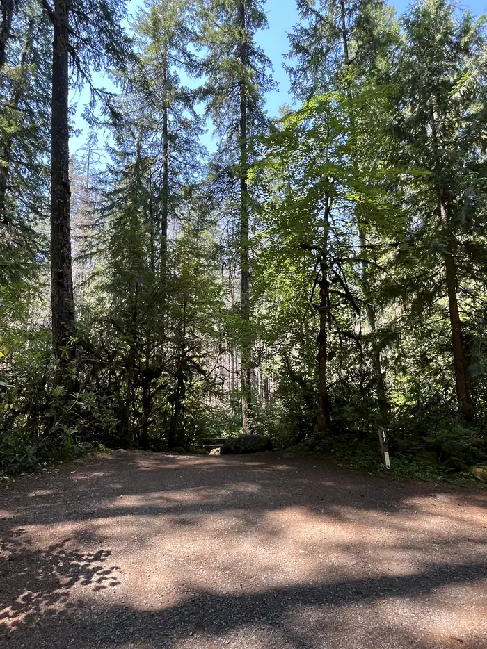 Olallie Campground