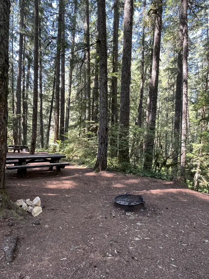 Olallie Campground