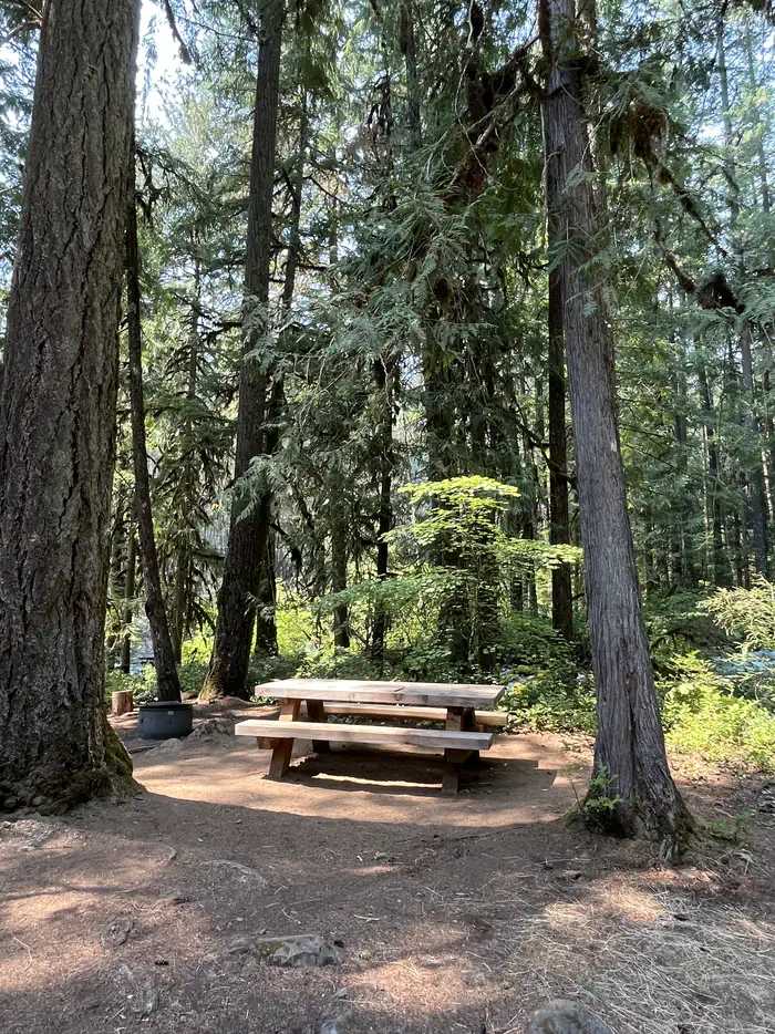 Olallie Campground