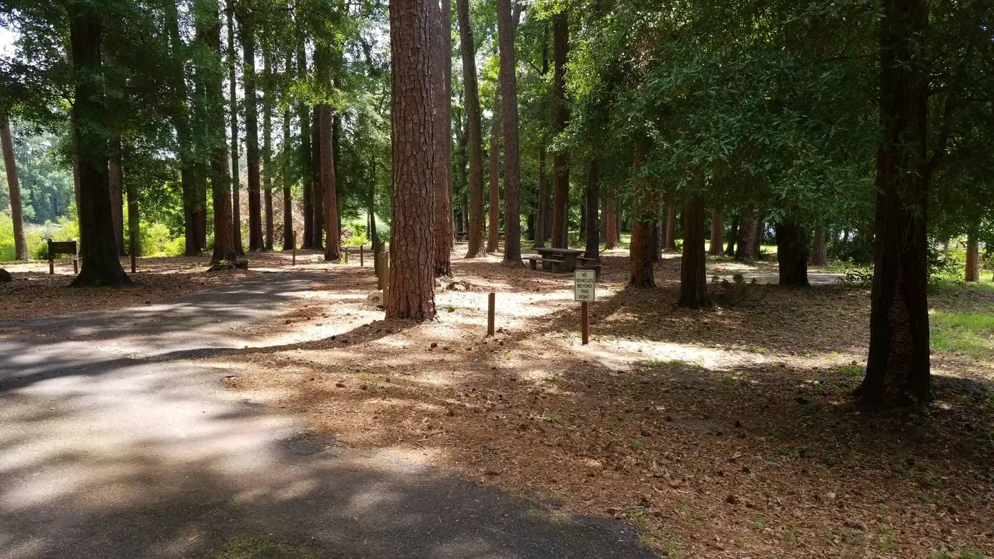 Ratcliff Lake Recreation Area