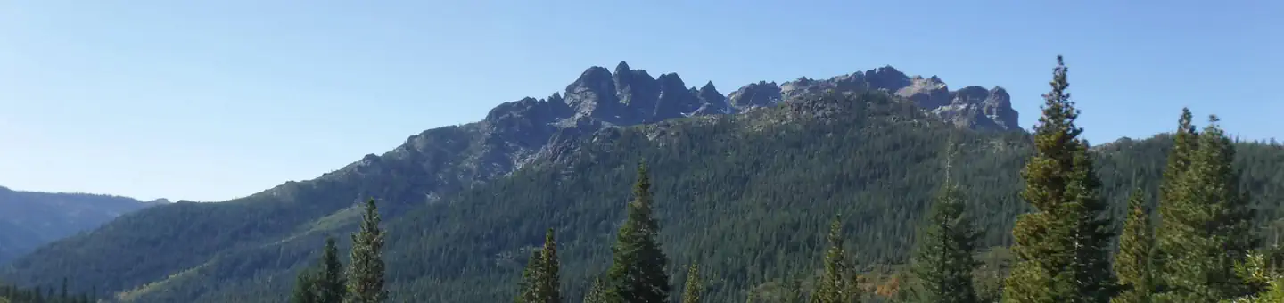 Salmon Creek
