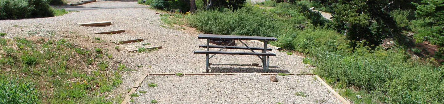 Point Supreme Campground
