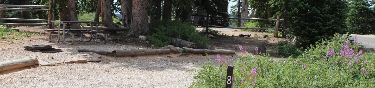 Point Supreme Campground