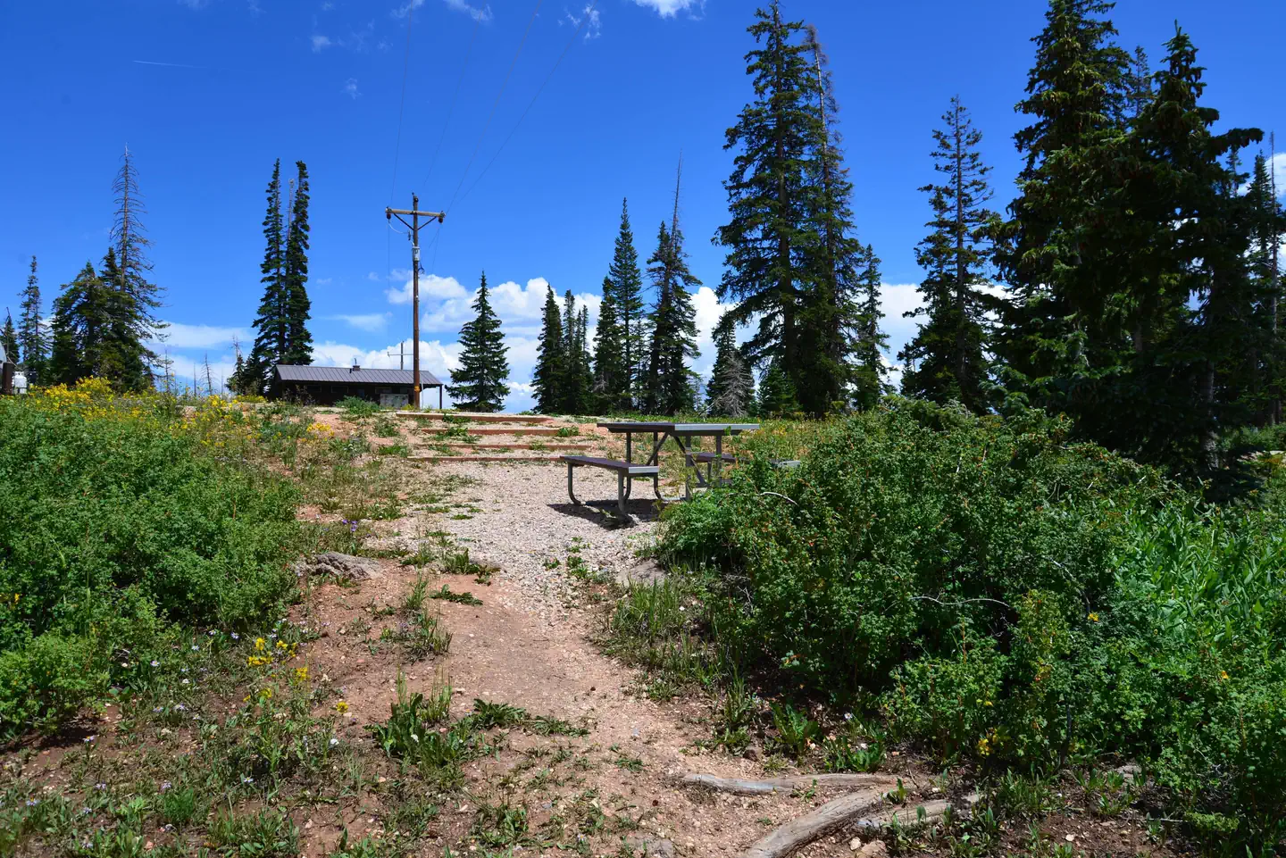 Point Supreme Campground