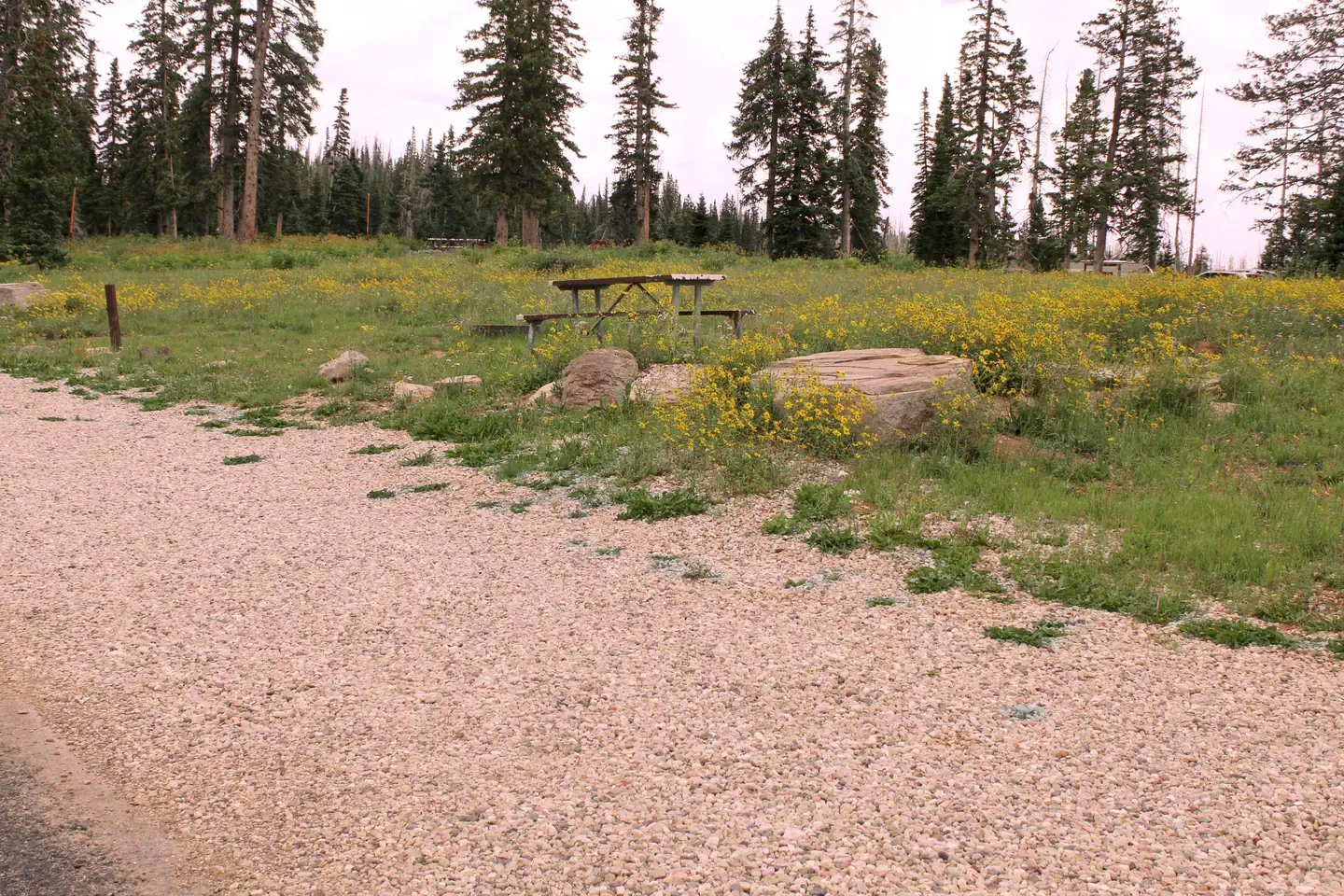 Point Supreme Campground